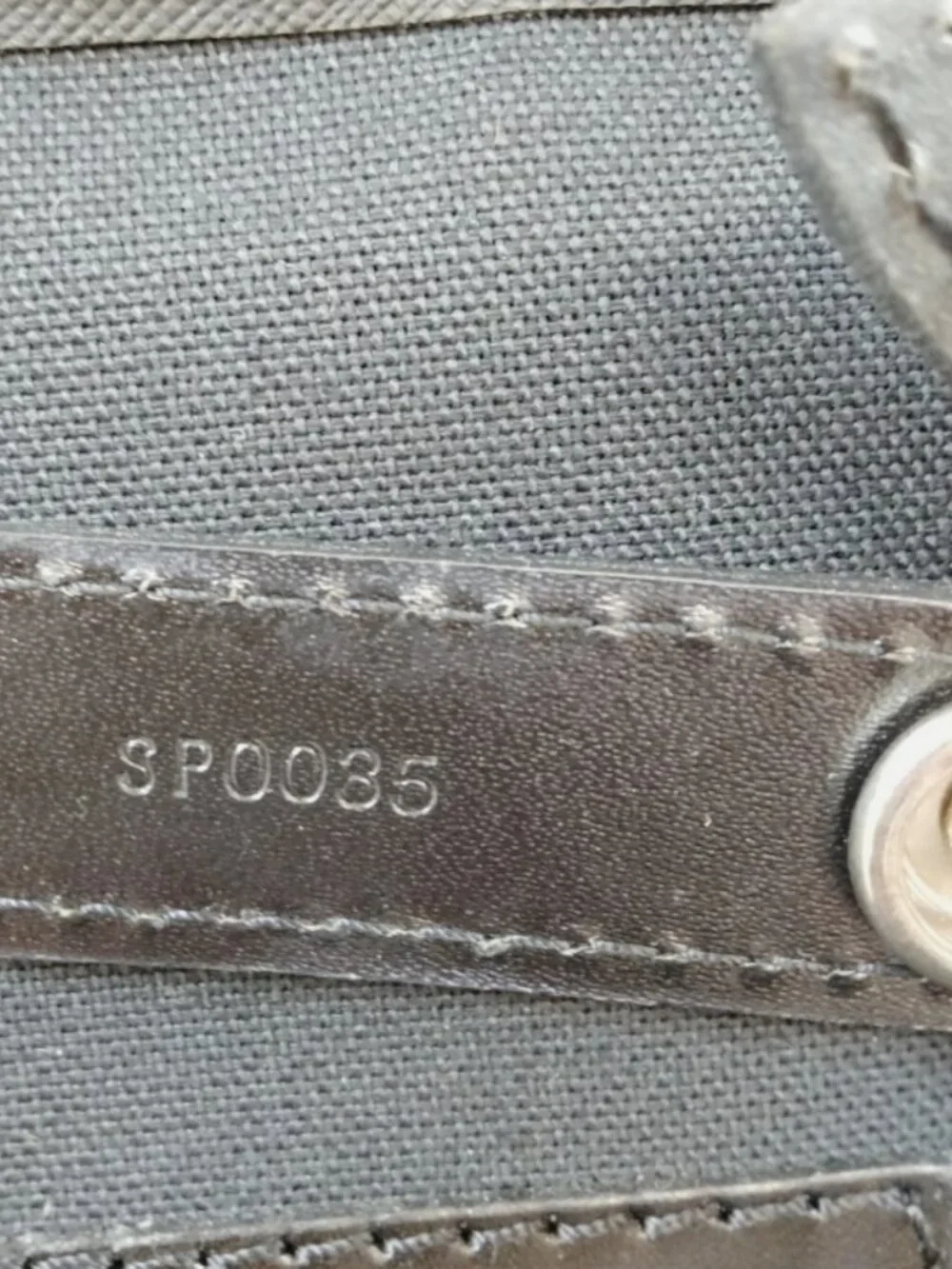 LOUIS VUITTON Taiga Pegase 55 Epicea